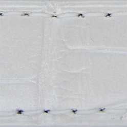 28mm Alligator - White