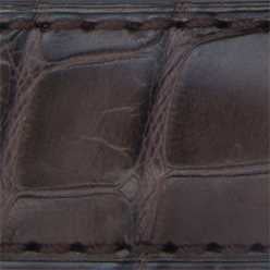 22mm Alligator - Brown
