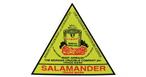 Salamander