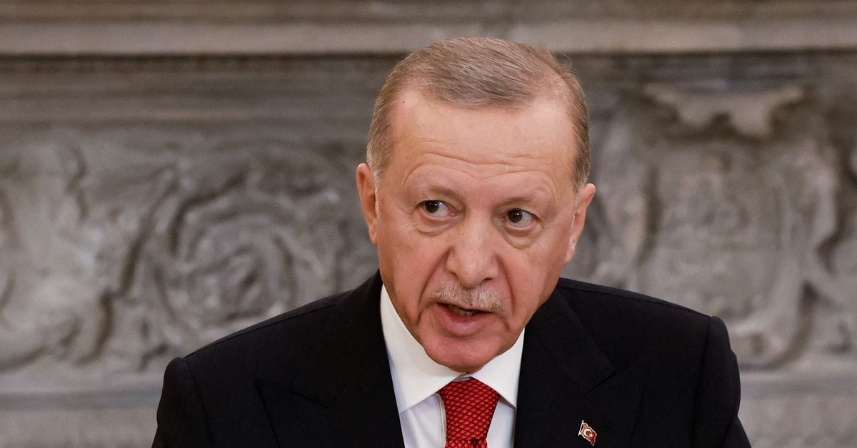 Turkeys Erdogan Calls for Reformation of the UN Security Council