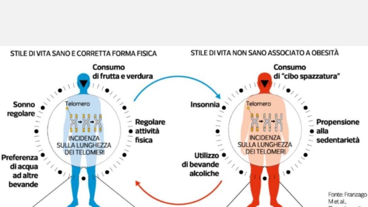 Come invecchiare meglio (e perché il 20% di noi ha un organo che lo fa più velocemente del resto del corpo) – Hamelin Prog