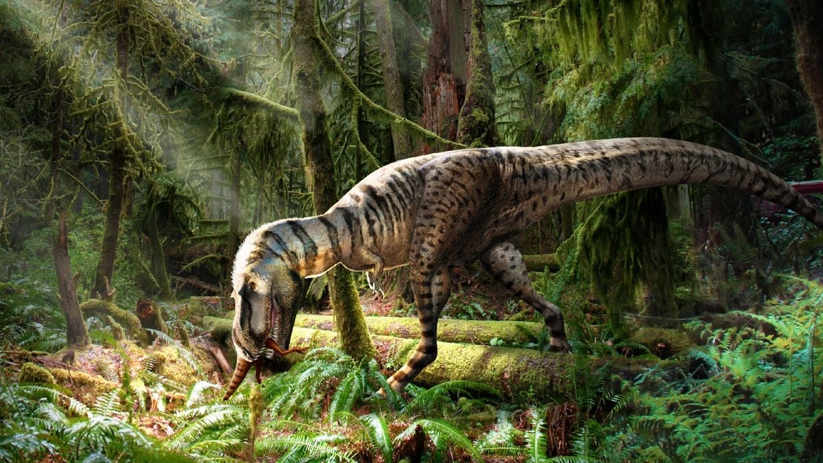 10 Incredible Dinosaur Fossils Discovered in 2023 Swerd Media