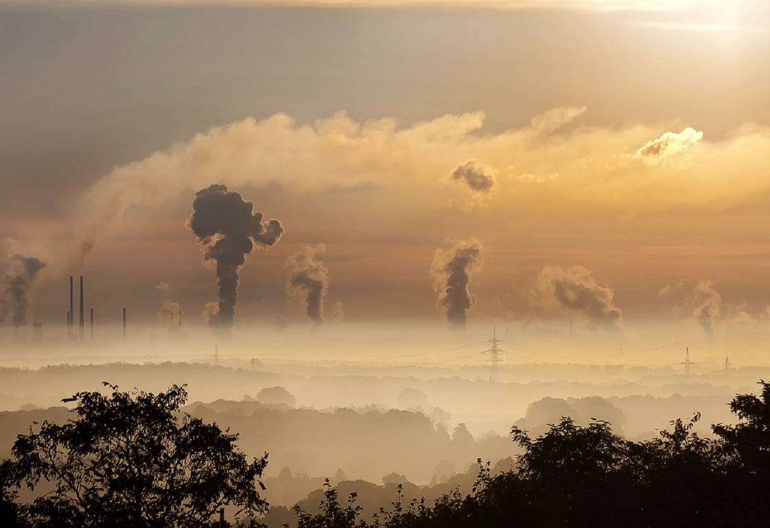 Desacreditando los créditos de carbono | Bateo Libre