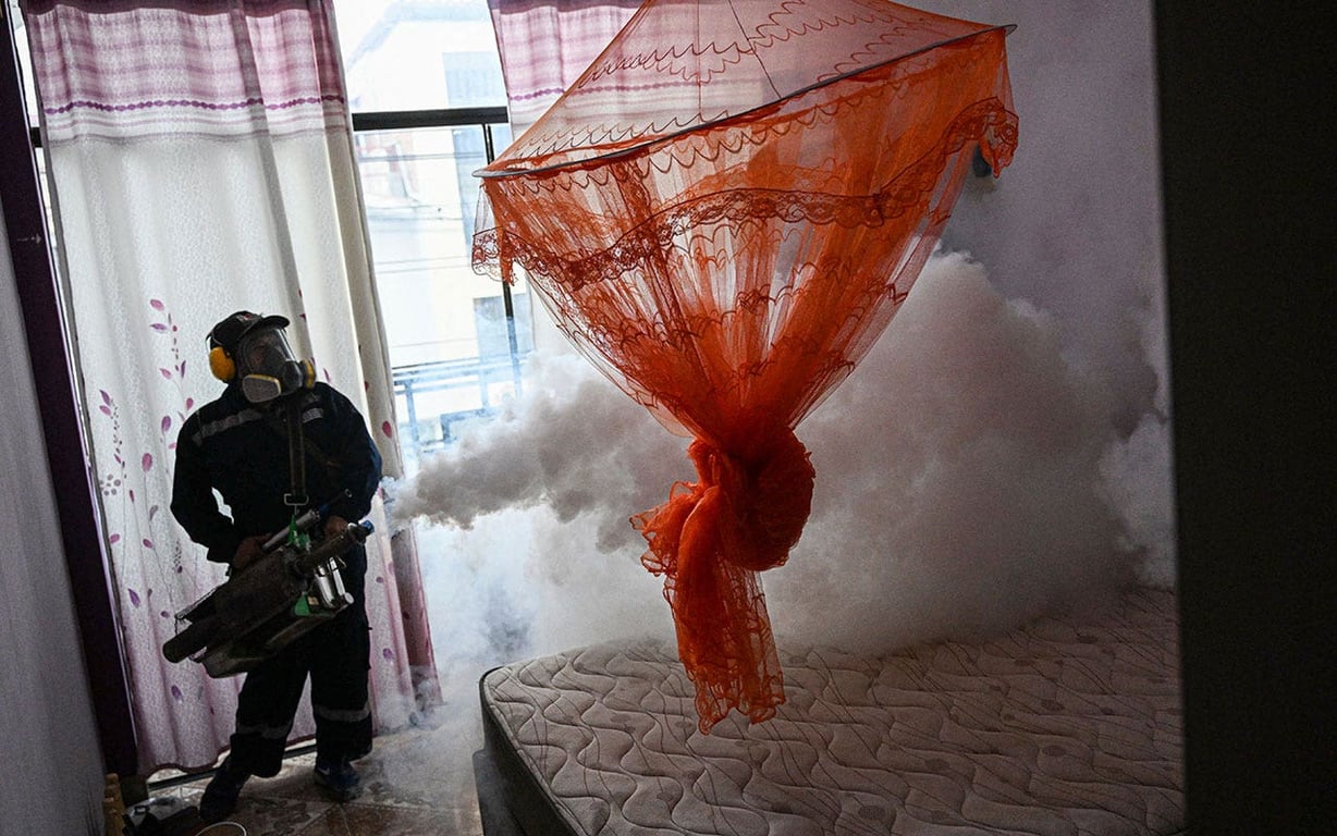 Majority of Provinces in Peru See Surge in Dengue Cases, Health Emergency Declared