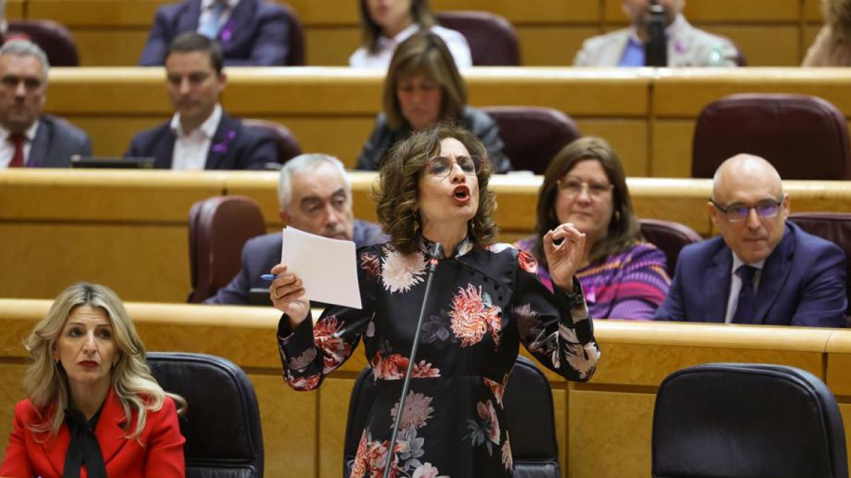 Intercambio de acusaciones e insultos intensos en el Senado por el caso Koldo y la corrupción