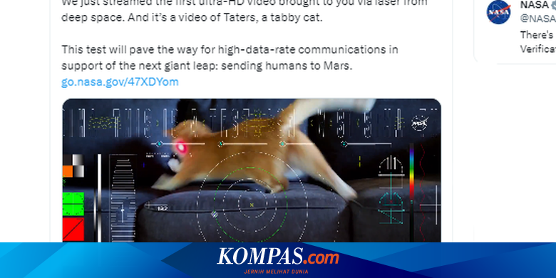NASA Siarkan Video Pertama dari Luar Angkasa, Dibintangi oleh Kucing Taters – Manadopedia