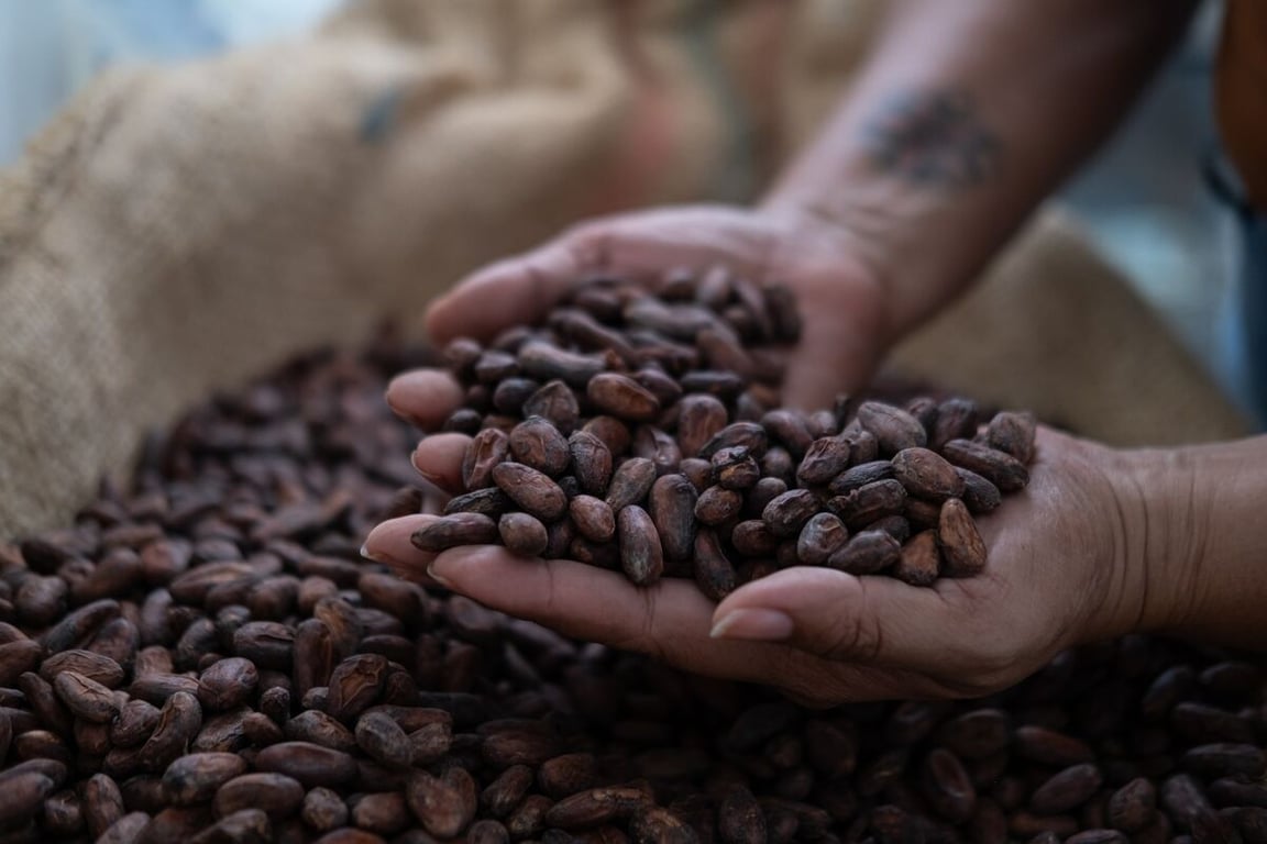 Cocoa Prices Spiked: What It Means for Chocolate Lovers