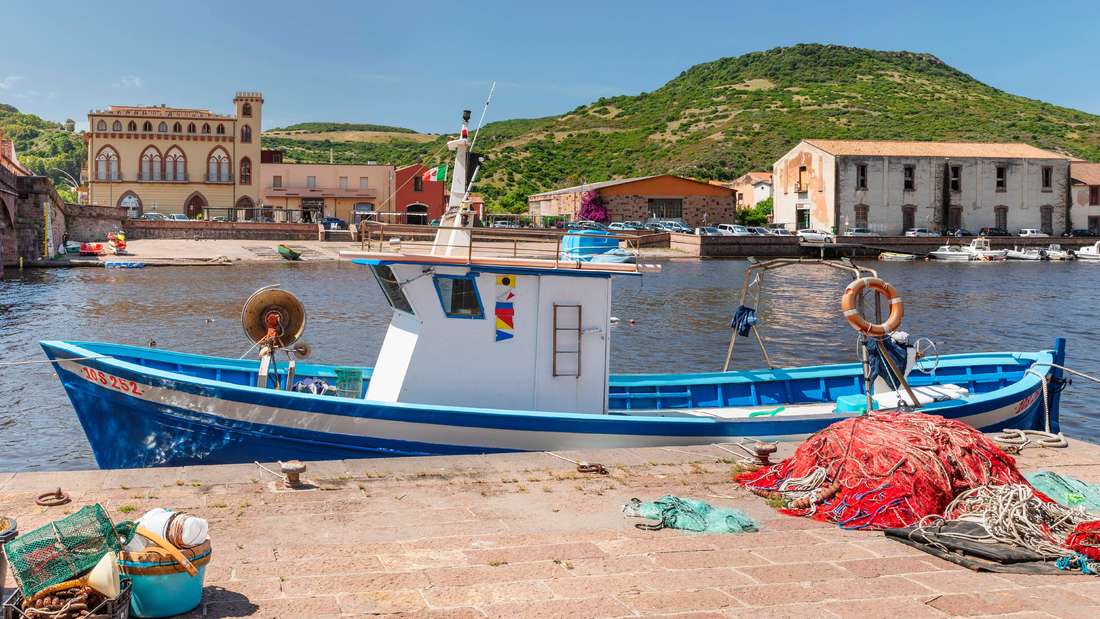 Gefährliches Mücken-Virus breitet sich auf Sardinien und entlang der Adria aus – ein Todesopfer