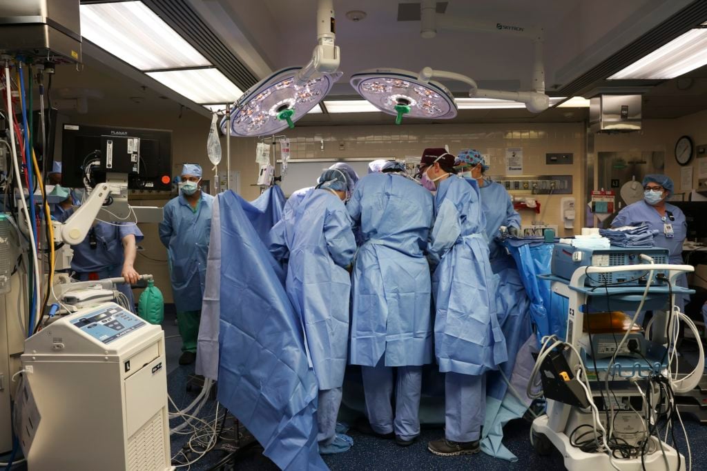 Pig Kidney Transplant into Human: A Medical Milestone
