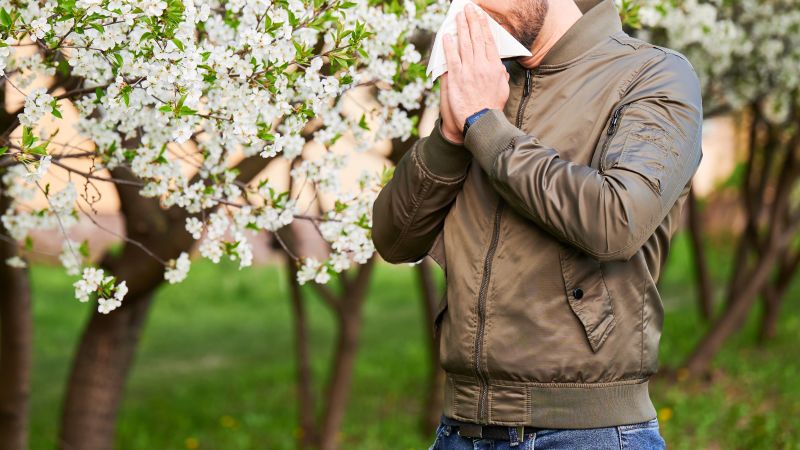 Understanding and Managing Seasonal Allergies