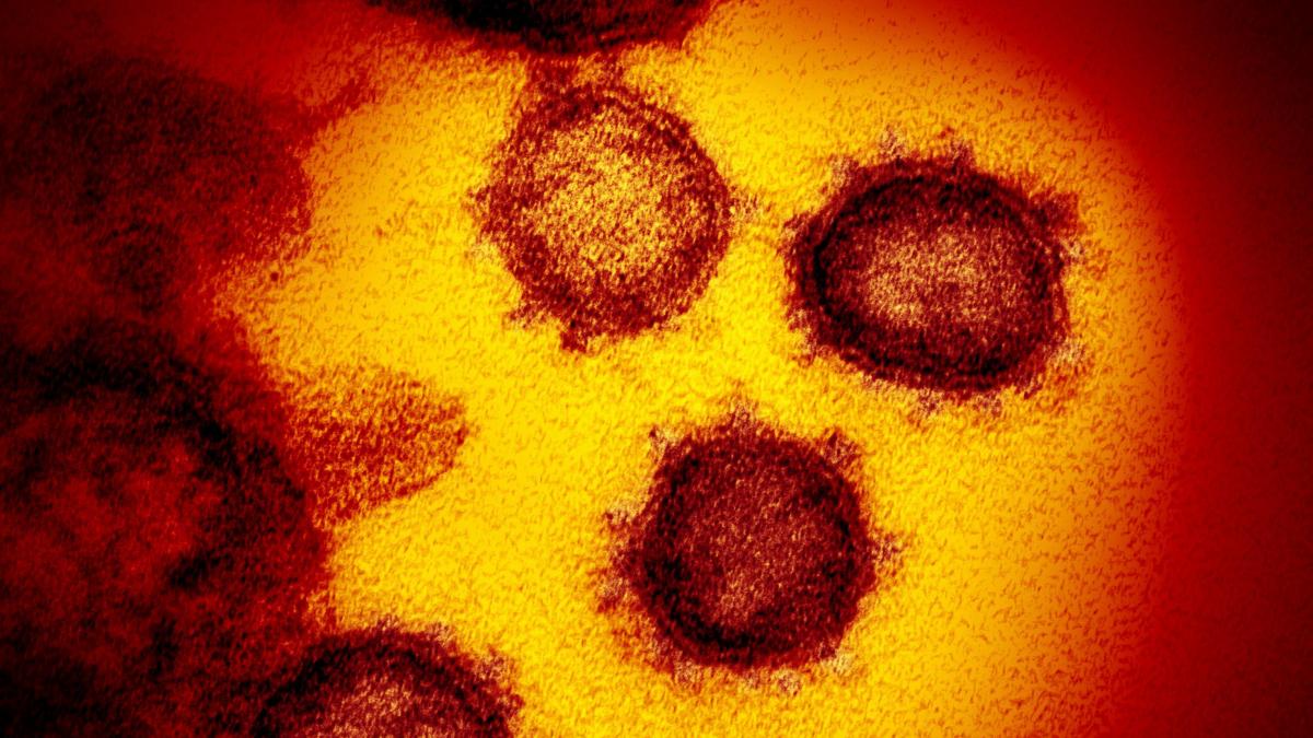 La OMS advierte sobre la rápida expansión de una nueva variante del coronavirus