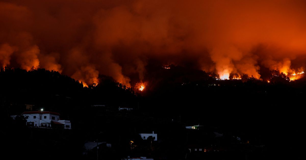 La Palma Wildfire: Thousands Evacuated as Firefighters Engage in Battle