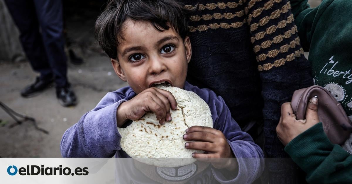La matanza de palestinos hambrientos abre los ojos del mundo ante la crisis provocada por Israel en Gaza – Deporticos