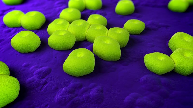 Dodo Finance reports groundbreaking study on new drug targeting drug-resistant bacteria