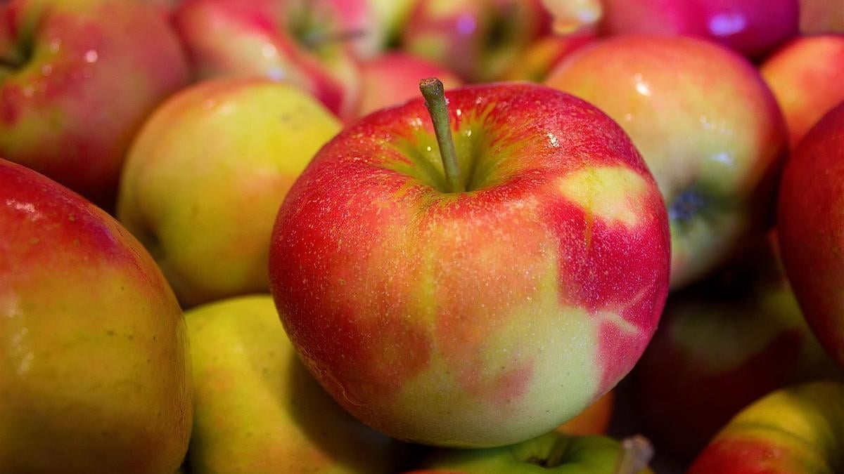 La dieta de la manzana: pierde hasta 7 kilos en menos de una semana – Deporticos