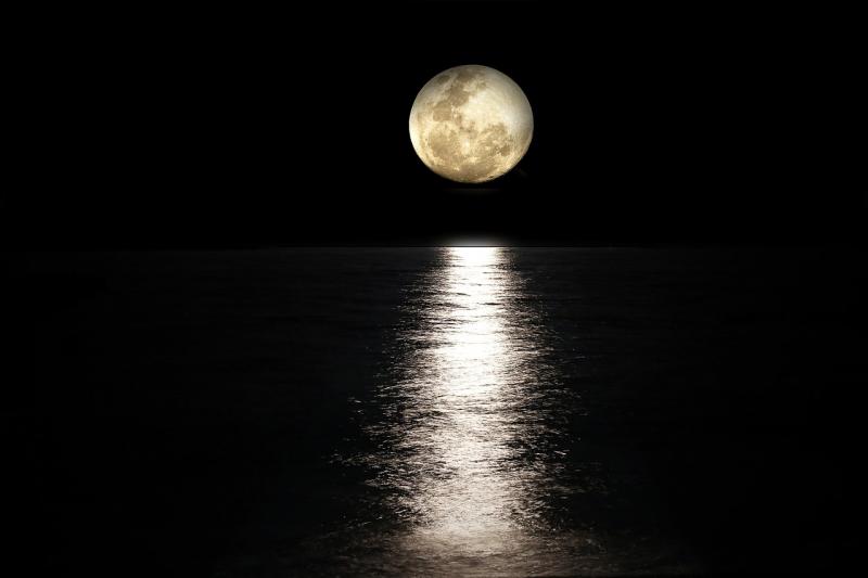 Photo of Este martes, día 1 de agosto, no te pierdas la Luna de Esturión – Mr. Código