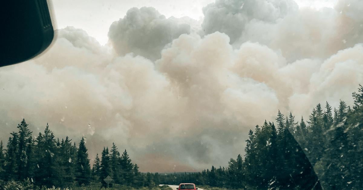 Les mégafeux de forêt canadiens ont émis plus dun milliard de tonnes de CO2