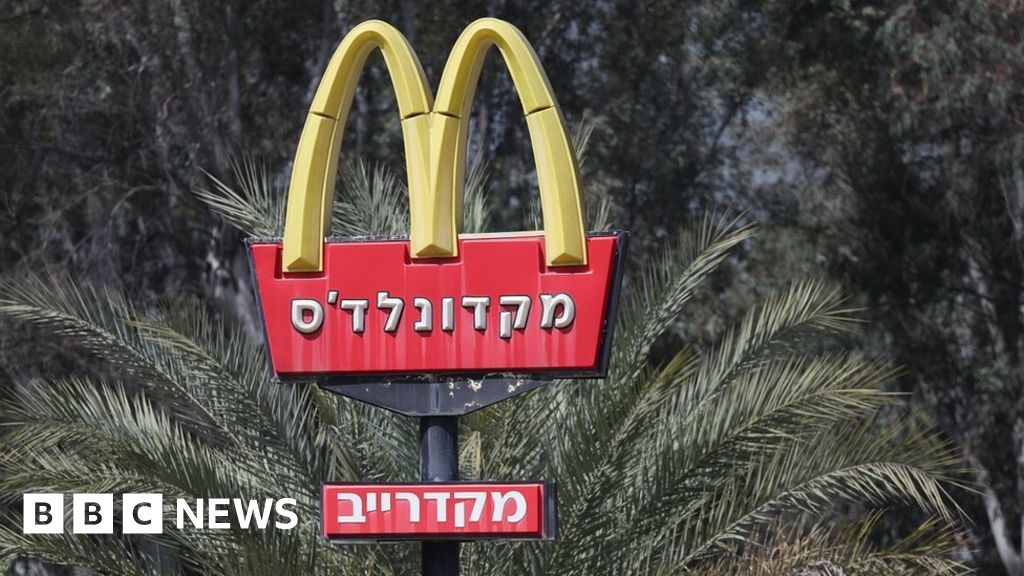 Dodo Finance: Investigating the boycott controversy at a fast-food firm