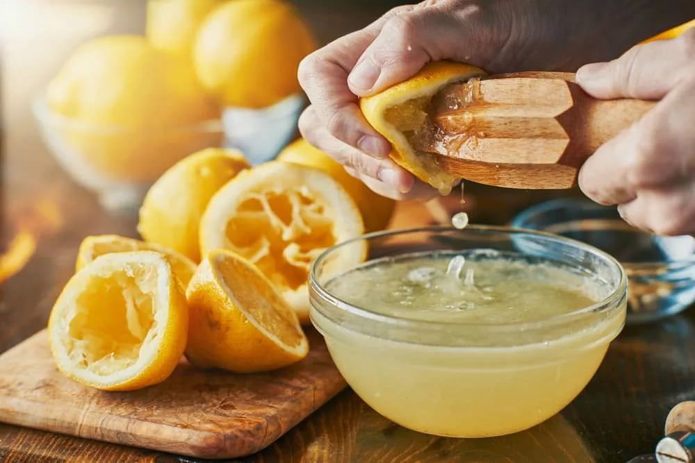 Scopri il potere incredibile di questa ricetta al Limone su Hamelin Prog – Microbiologia Italia