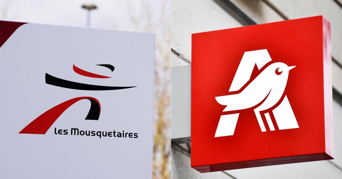 Intermarché et Auchan annoncent des discussions pour une alliance dans les négociations à lachat – Cosmo Sonic