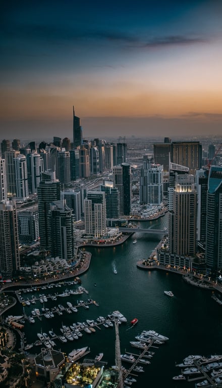 The UAE as a Global Business Hub