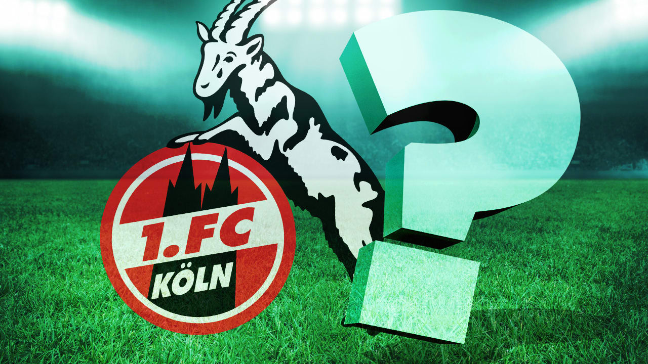 1. FC Köln: Interessante Namen! Die Trainer-Kandidaten nach Steffen Baumgart.