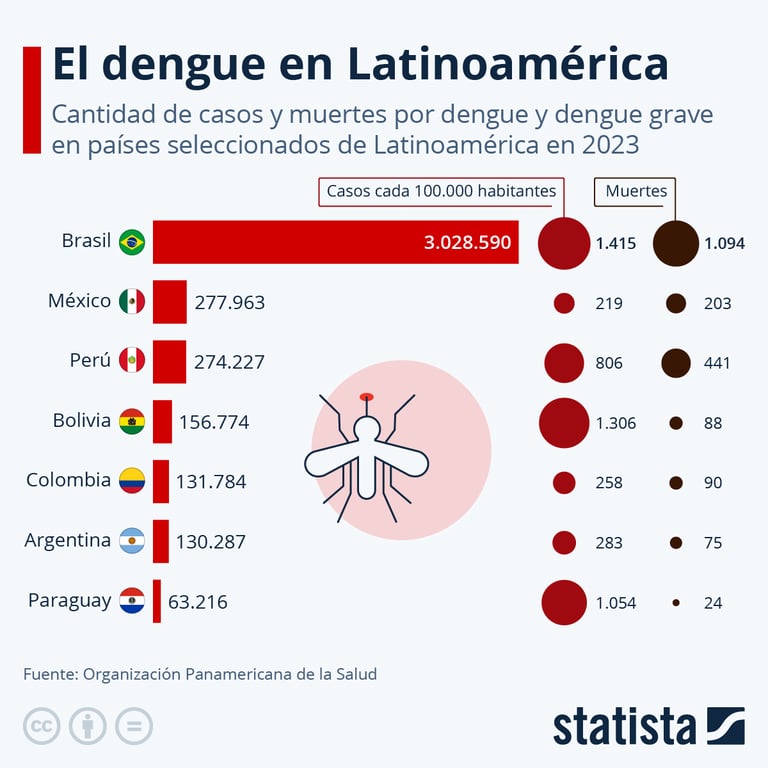 El dengue en Latinoamérica – Oncenoticias