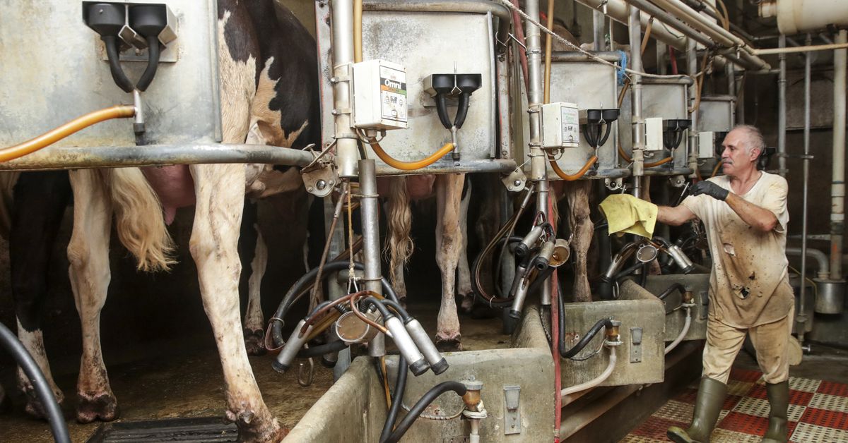Bird flu: What we know (and don’t) about its potential to cause a human pandemic