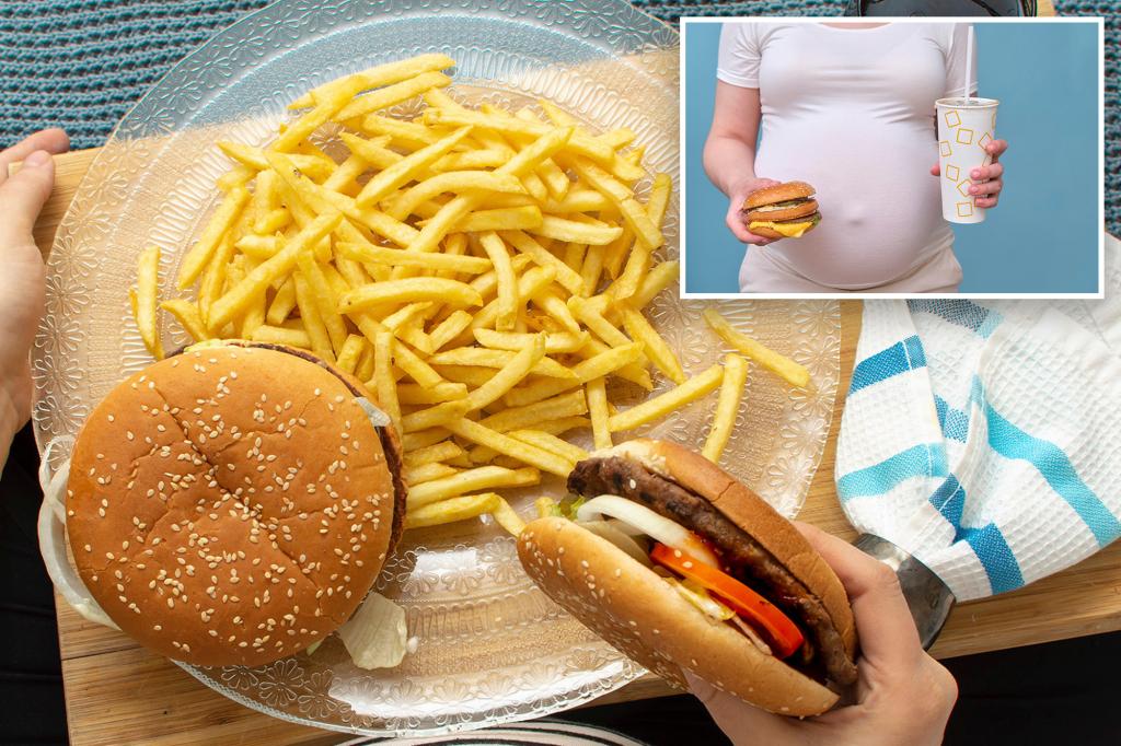 Dodo Finance: The Impact of Fast Food Consumption on Pregnancy and Your Babys Health