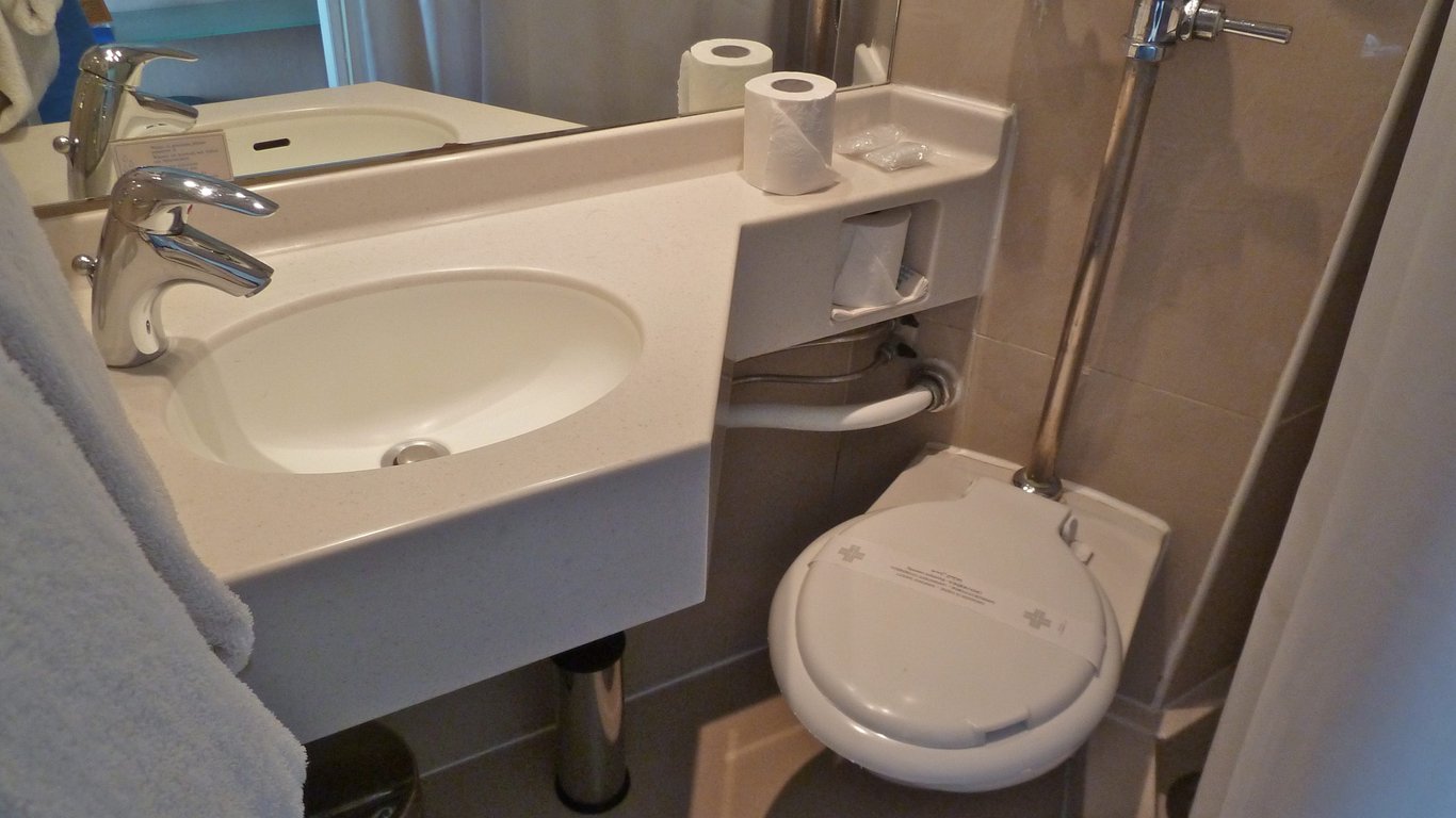 The Daily Guardian: Does it matter if you flush with toilet lid up or down? Not really.
