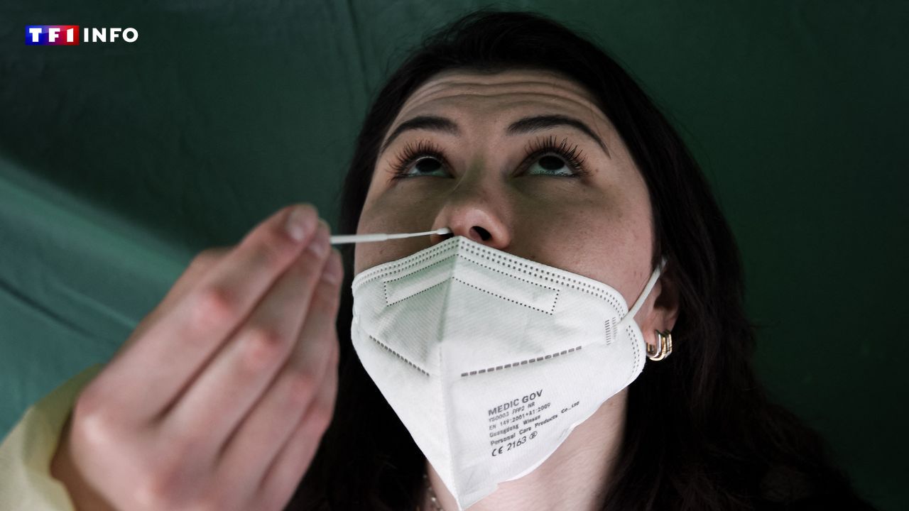 Le Covid-19, principale cause de décès en France en 2021, avec une augmentation surprenante des maladies cardiovasculaires