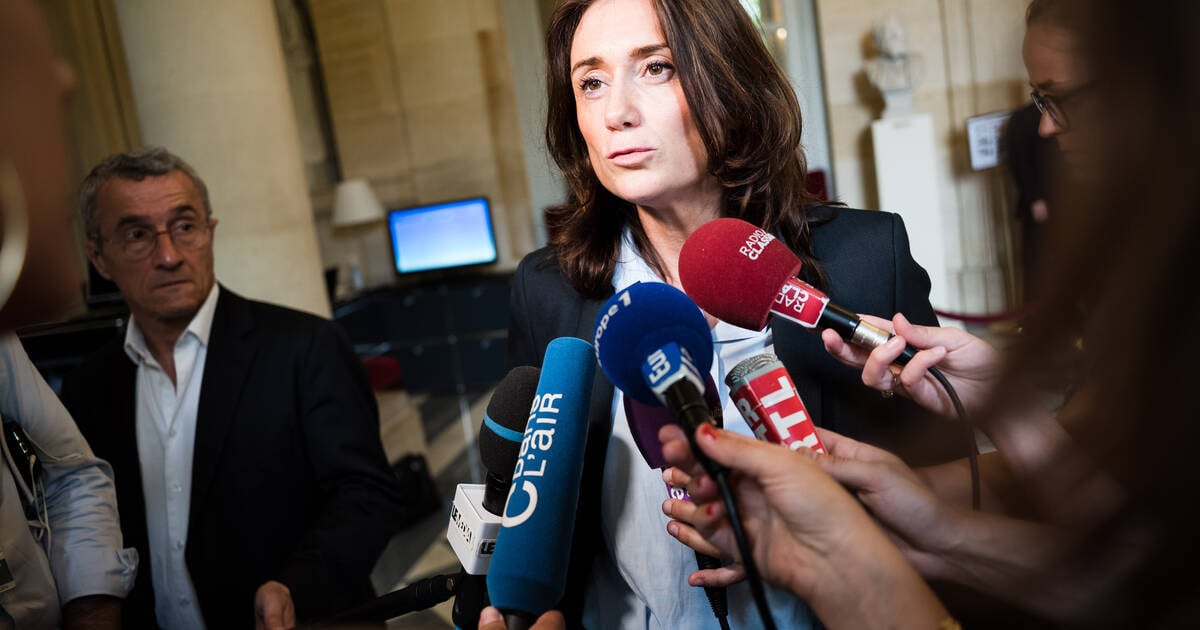 La députée Sandrine Josso, qui accuse le sénateur Joël Guerriau de lavoir droguée : «Jai cru mourir» – Cosmo Sonic