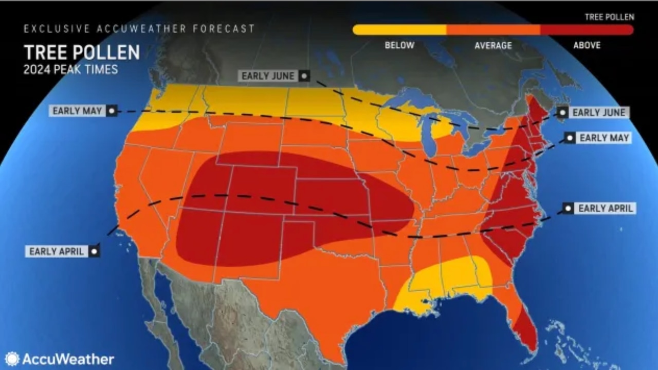 Baltimore Gay Life: Stay updated on allergy forecasts and pollen levels in the region