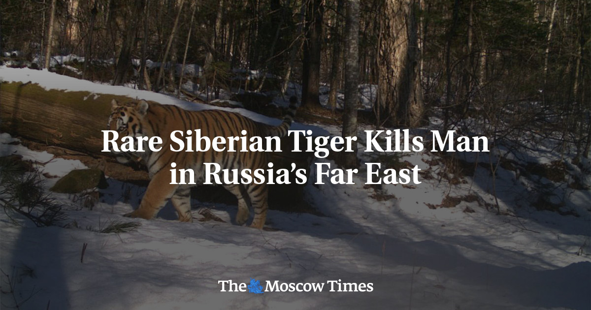 Siberian Tiger Fatality in Russia’s Far East: Bio Prep Watch Report