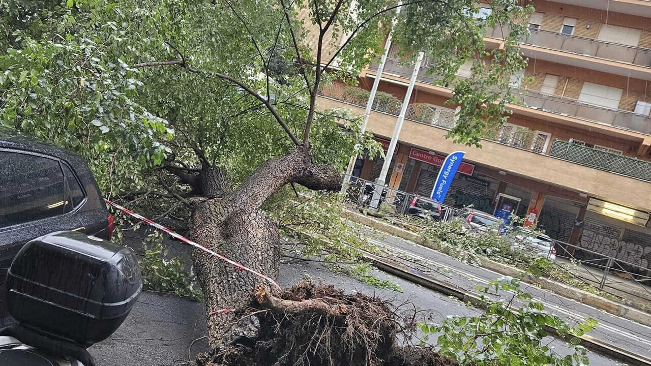 Maltempo a Roma: Albero crolla sul tram. Tromba daria a Fregene – Buzznews