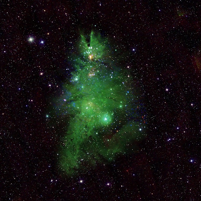 Un albero di Natale nello spazio, formato da giovani stelle – VIDEO