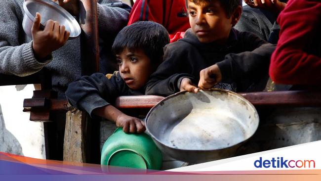 Warga Gaza Terpaksa Makan Pakan Ternak Akibat Invasi Israel – Bolamadura