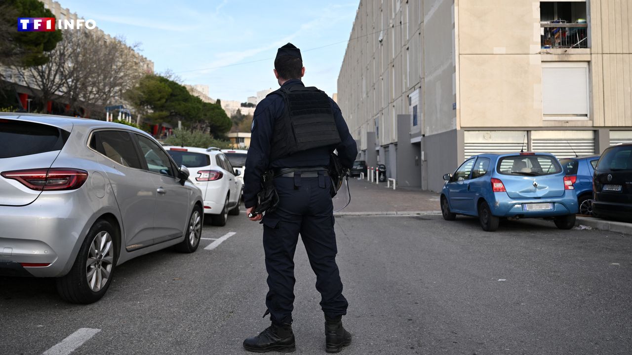 Arrestations, saisies… quel bilan pour lopération Place nette XXL contre le narcotrafic à Marseille ?