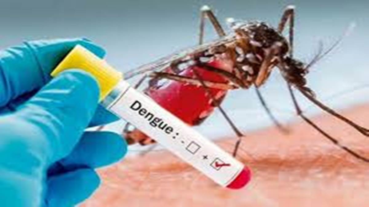 ग्वालियर में डेंगू: डेंगू की जांच नेगेटिव, प्लेटलेट्स 25 हजार तक गिर रहीं – राजनीति गुरु
