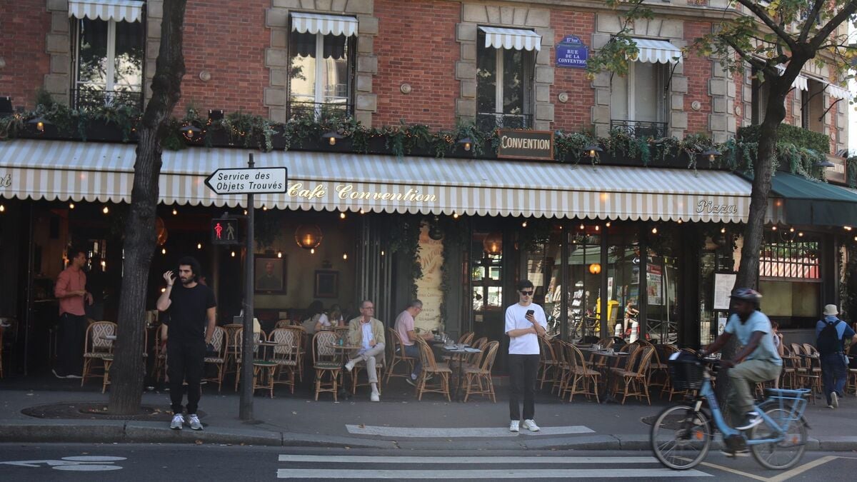 Opération de démoustication à Paris : une zone entière surprise par un cas de dengue – Cosmo Sonic