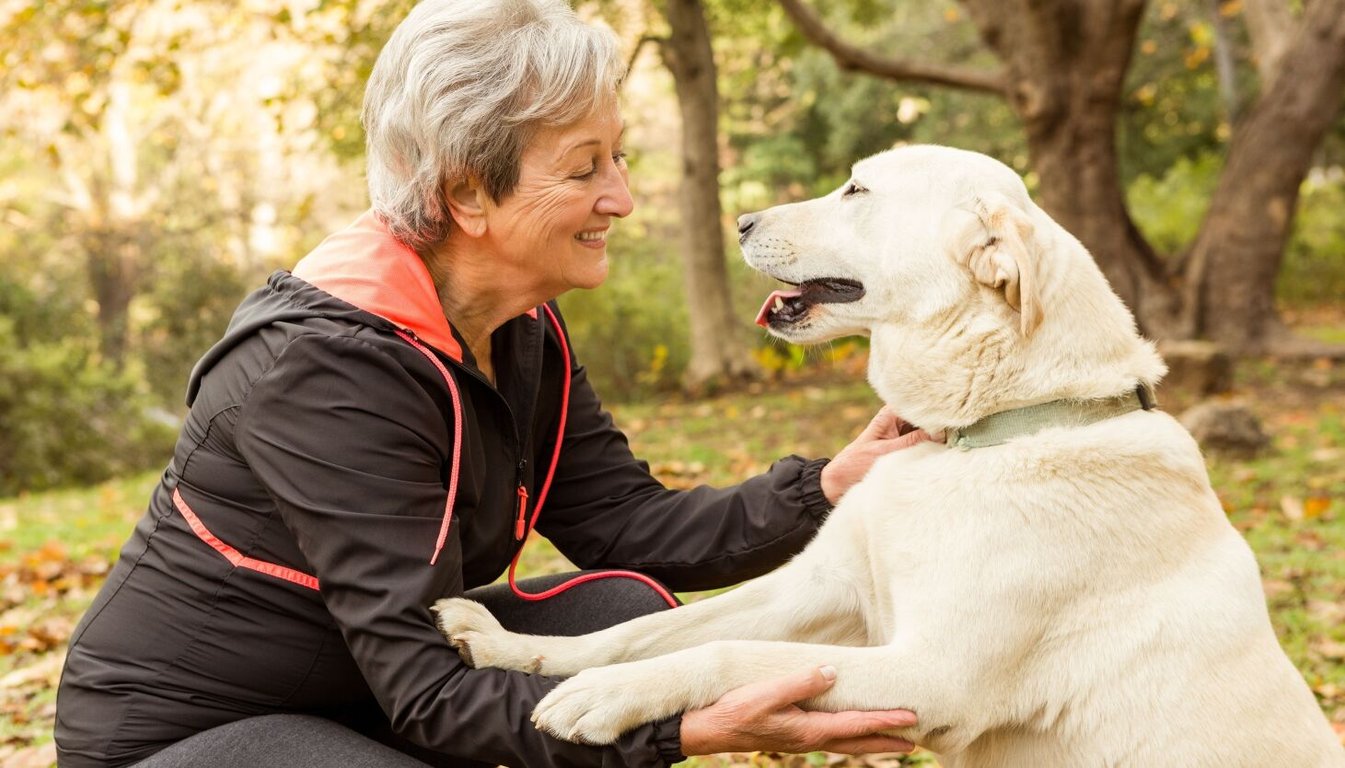 Dodo Finance: Exploring the Link Between Pet Ownership and Cognitive Decline as You Age