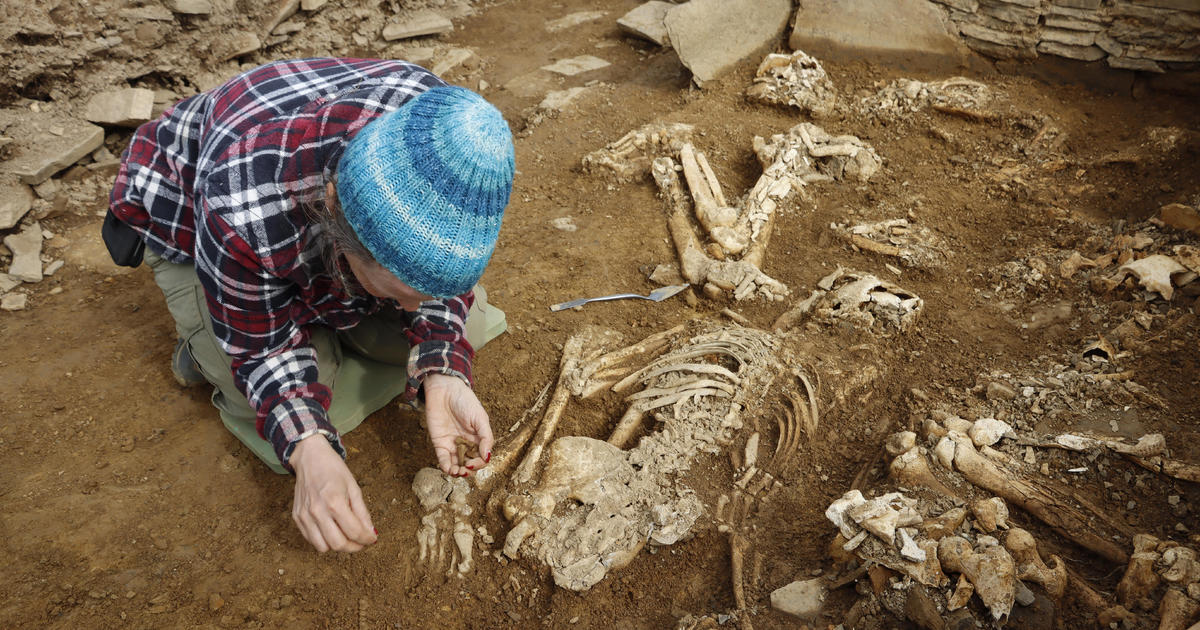 Photo of Skeletal Remains Unearthed in Rare 5,000-year-old Scottish Tomb – The News Teller