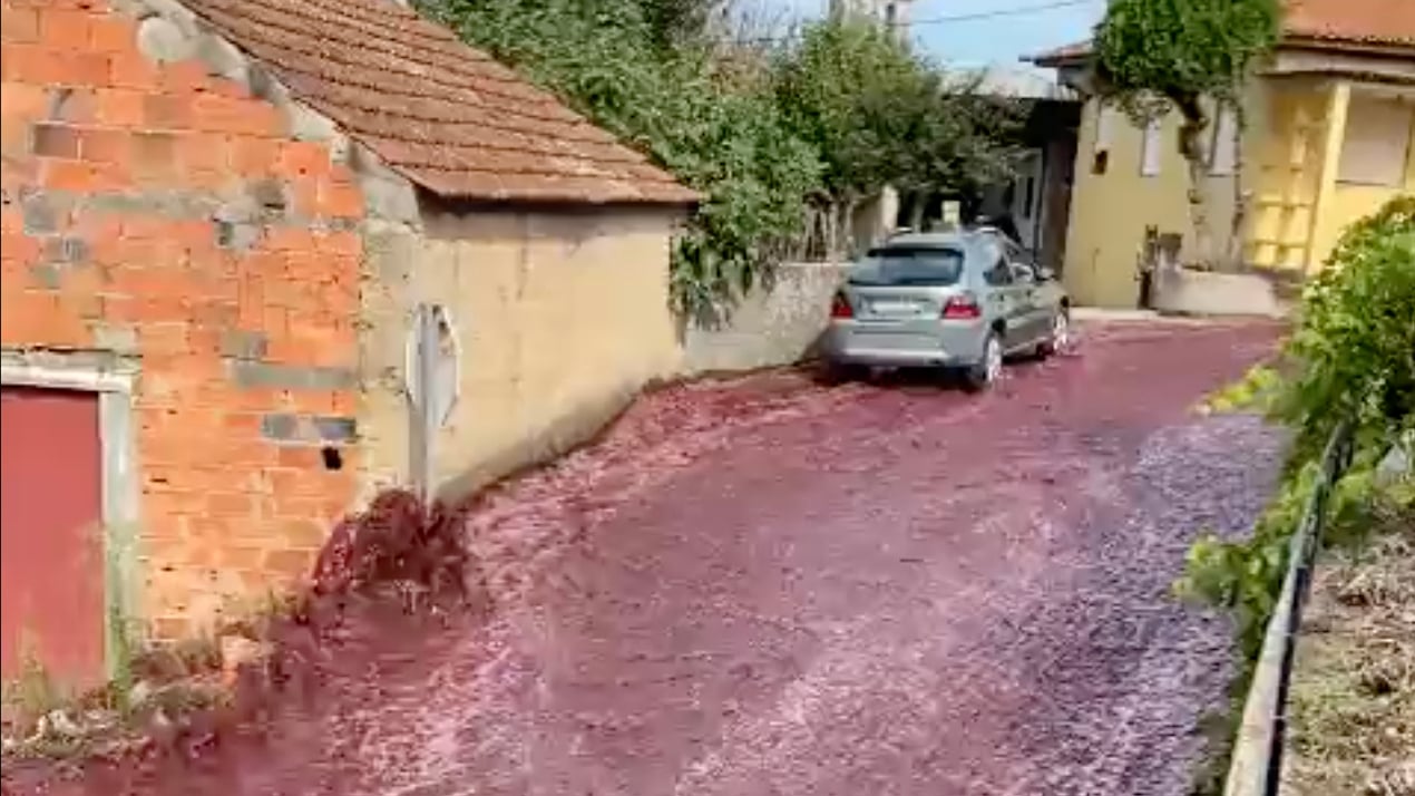 Photo of Red Wine Floods City Streets in Portugal after Distillery Breach