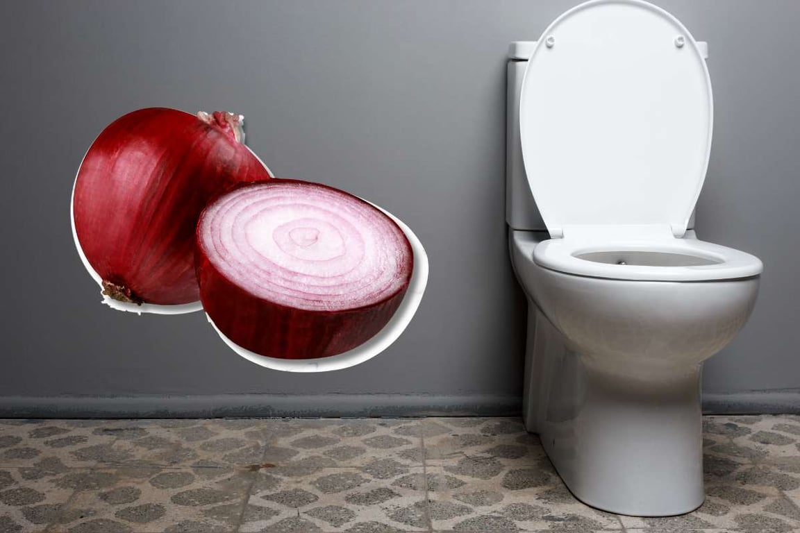 Niente candeggina! Usa la cipolla per pulire il bagno: il risultato ti sorprenderà – SDI Online