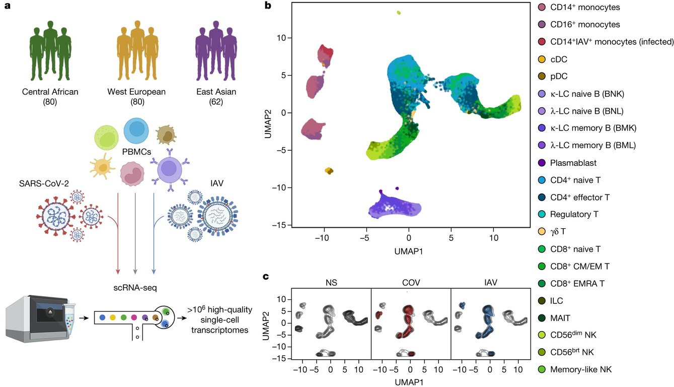 Photo of The Immune Responses of SARS-CoV-2: Exploring Neanderthals, Environment, and Evolution – The News Teller