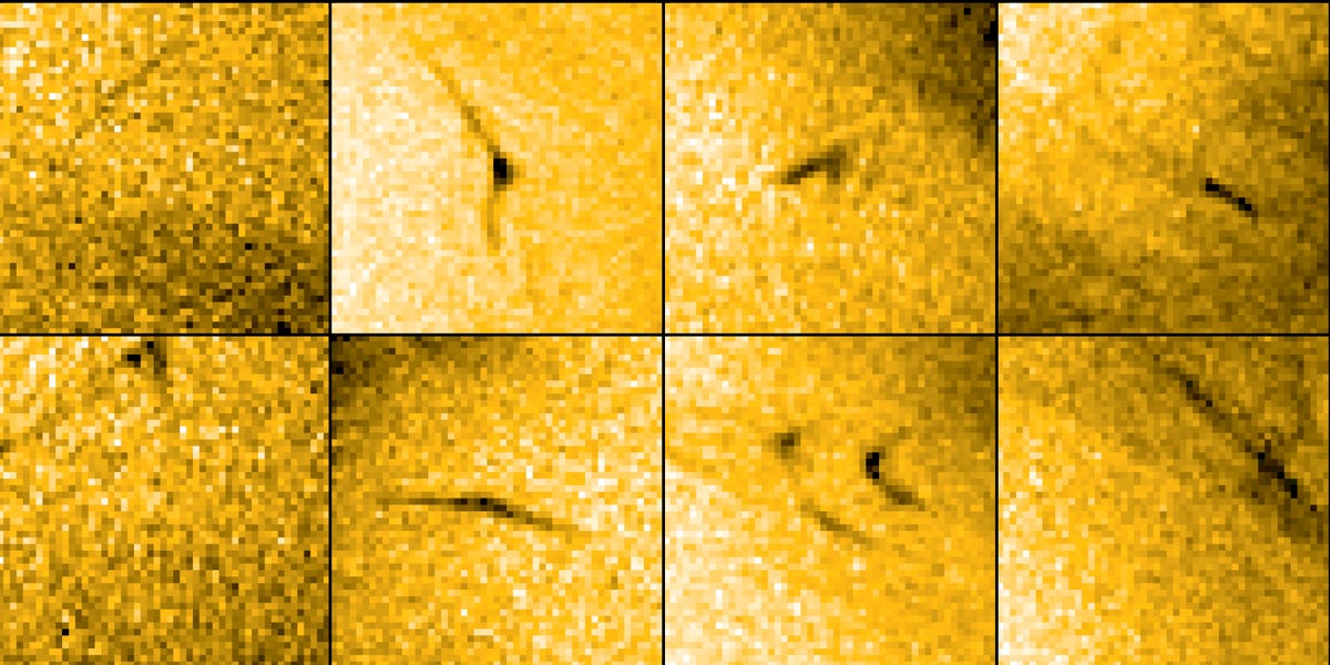 Countless Mini-Flares Erupting from the Suns Hole: Witness the NASA/ESA Photos – Insider Wales Sport