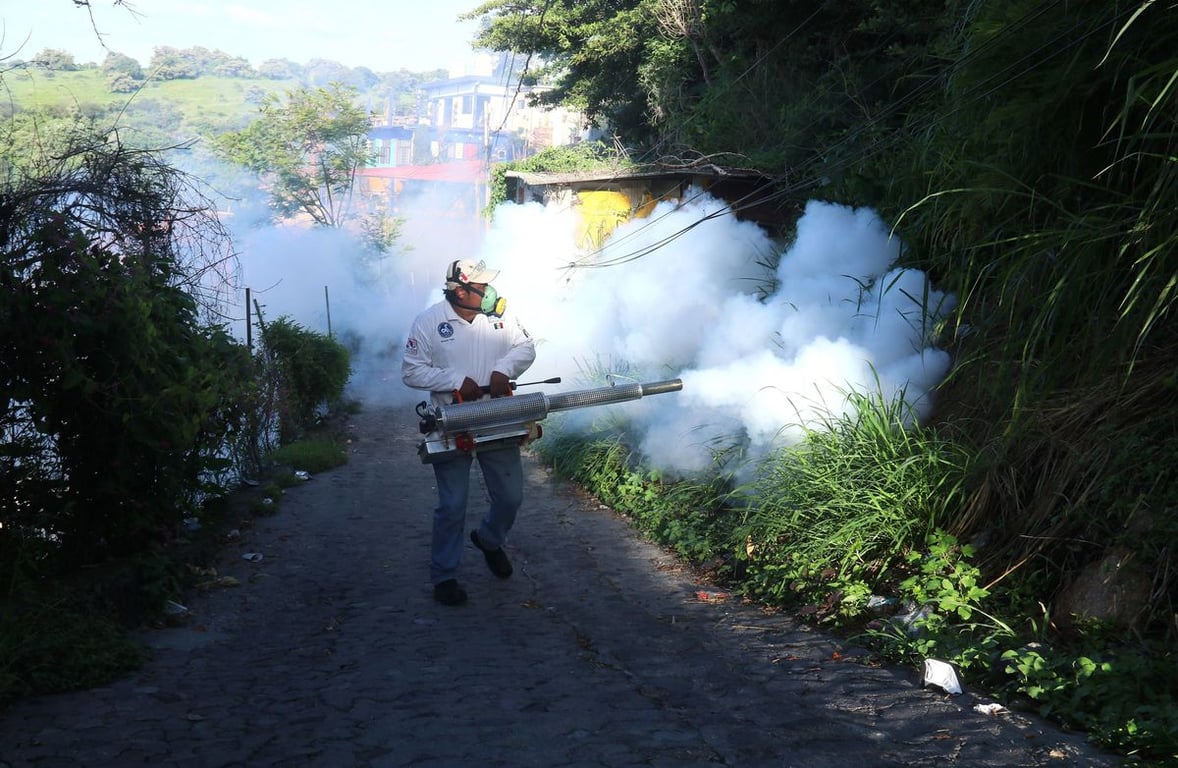 Alerta sanitaria en México por el aumento de casos de dengue