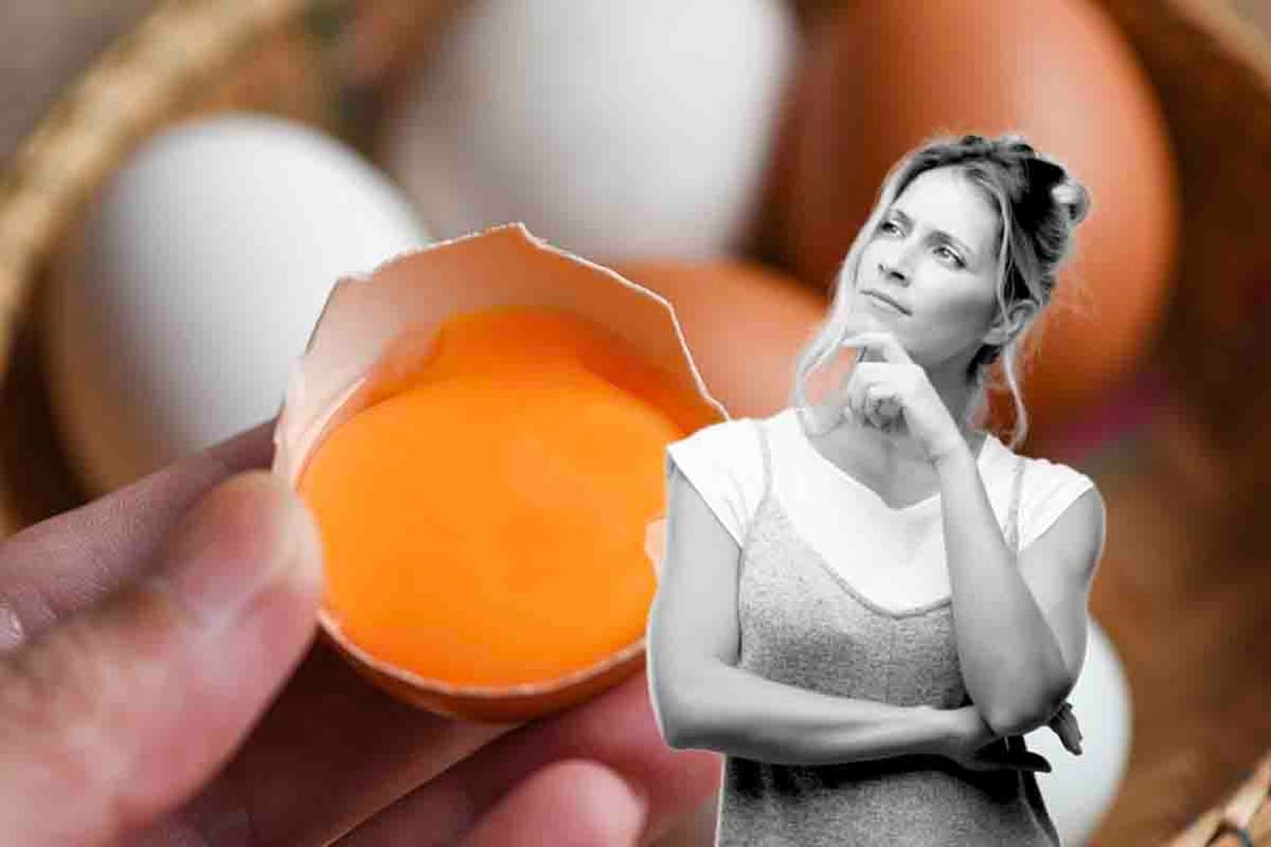 Perché molti fanno bollire i gusci delle uova: provaci, risparmi e risolvi un problema odioso