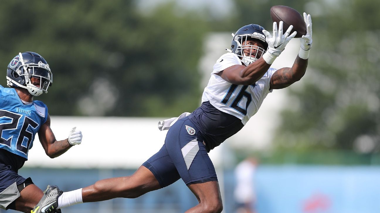 Photo of Titans WR Treylon Burks Diagnosed with Sprained LCL, Says The News Teller