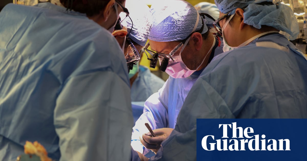 A new chapter: US man undergoes successful pig kidney transplant and heads home